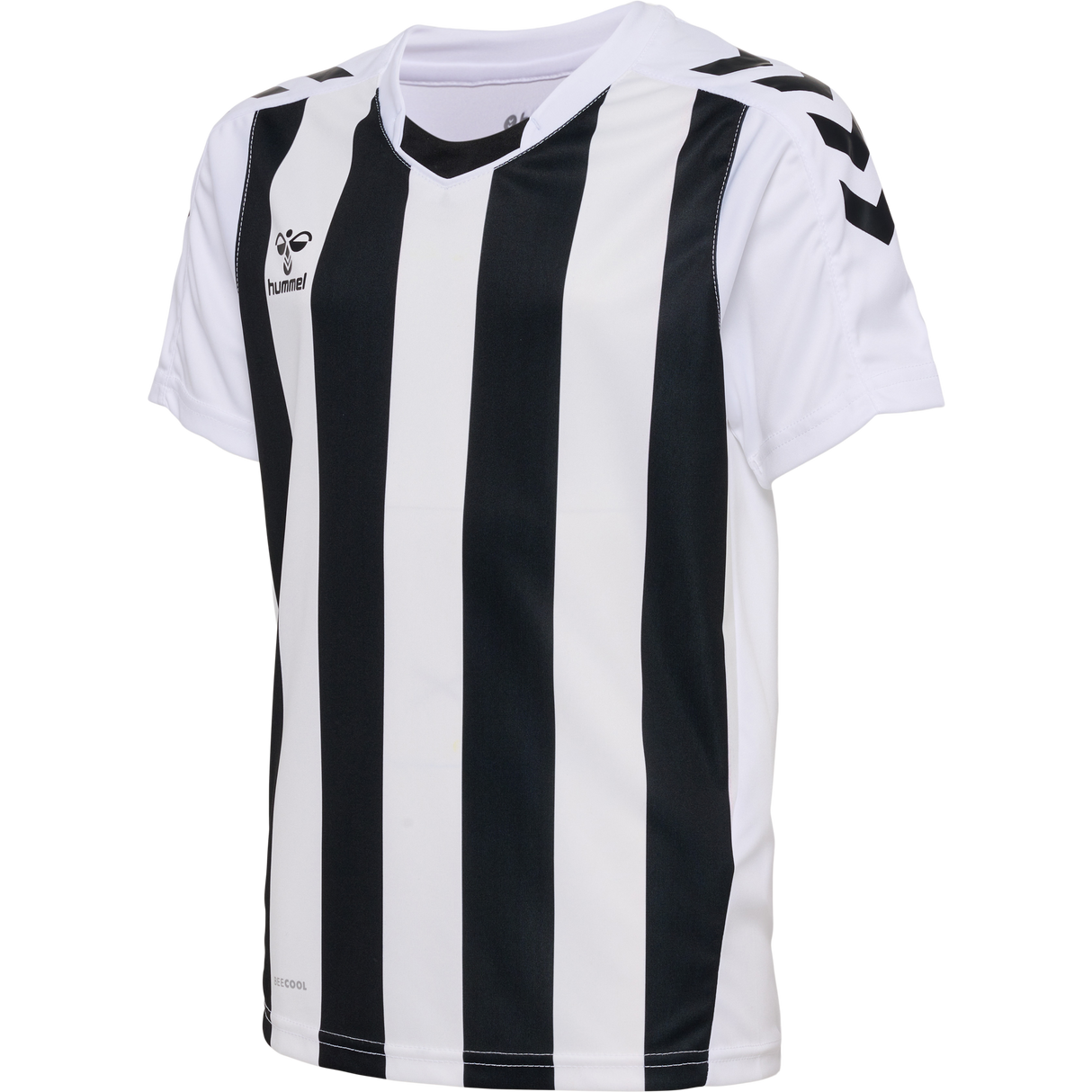 hummel Youth Core XK Striped Short Sleeve Jersey-1