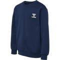 hummel Youth Rush Sweatshirt-1