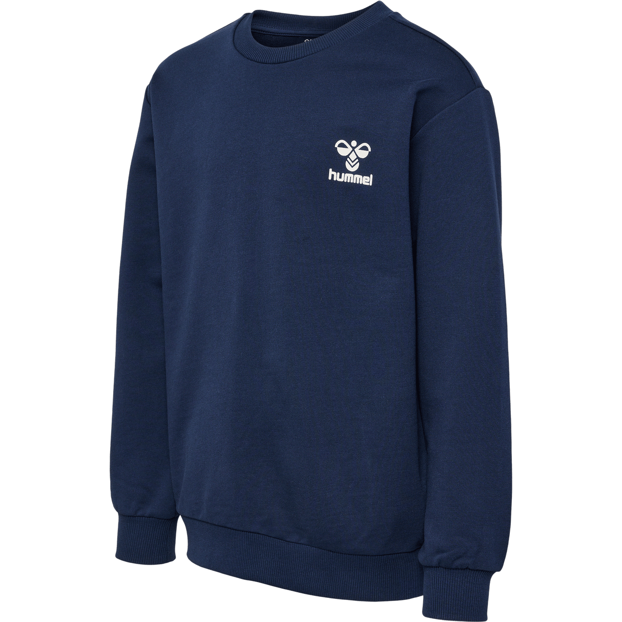 hummel Youth Rush Sweatshirt-1