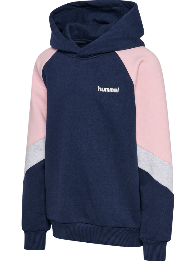 hummel Youth Loose Blocked Hoodie-1
