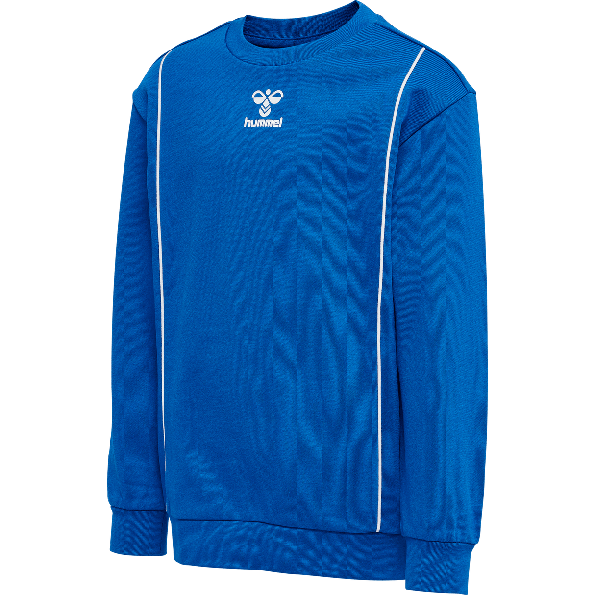 hummel Youth Ditmer Sweatshirt-1
