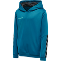 hummel Youth Authentic Poly Hoodie-1