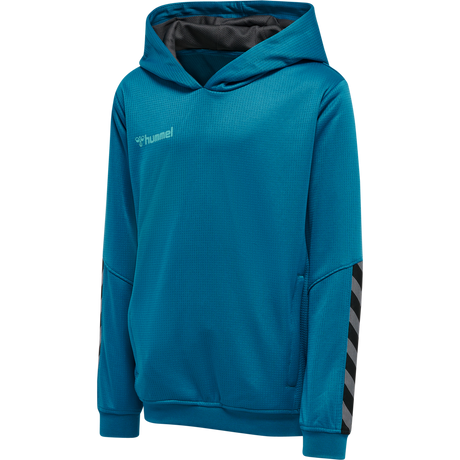 hummel Youth Authentic Poly Hoodie-1