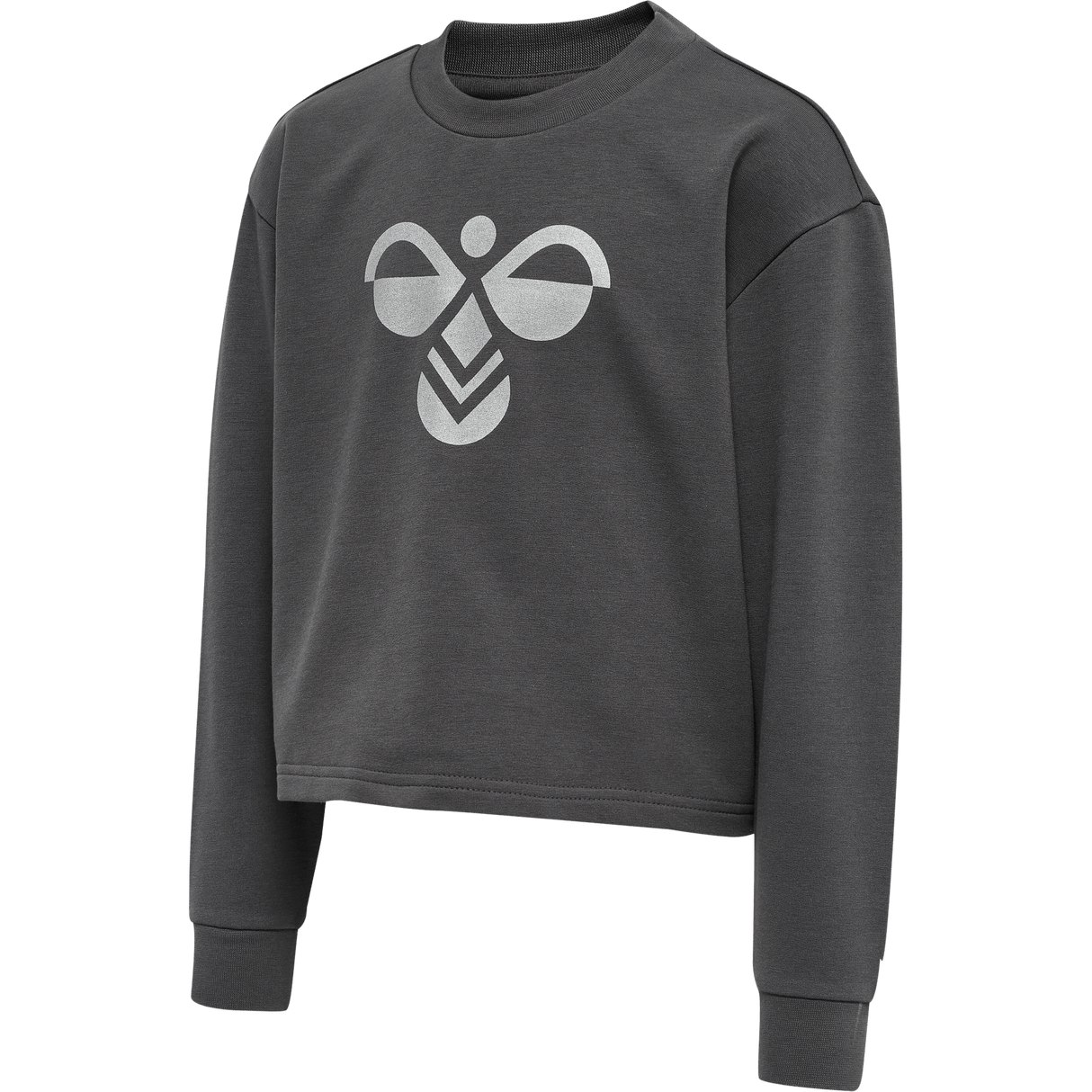 hummel Youth Cinco Sweatshirt-1