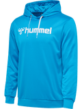 hummel Unisex Logo Hoodie-1