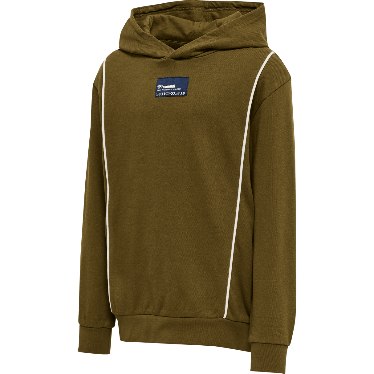hummel Youth Ditmer Hoodie-1