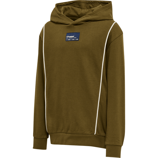 hummel Youth Ditmer Hoodie-1