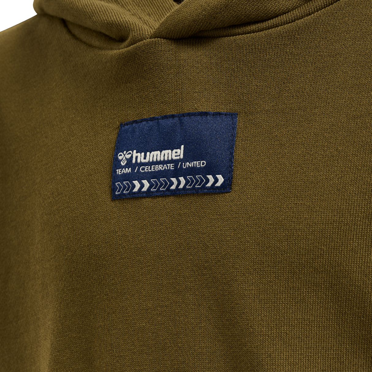 hummel Youth Ditmer Hoodie-3