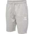 hummel Men's Icons Regular Shorts-1