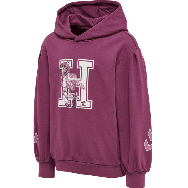 hummel Youth Astrology Hoodie-1
