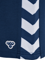 hummel Youth Archive Regular Poly Shorts-3