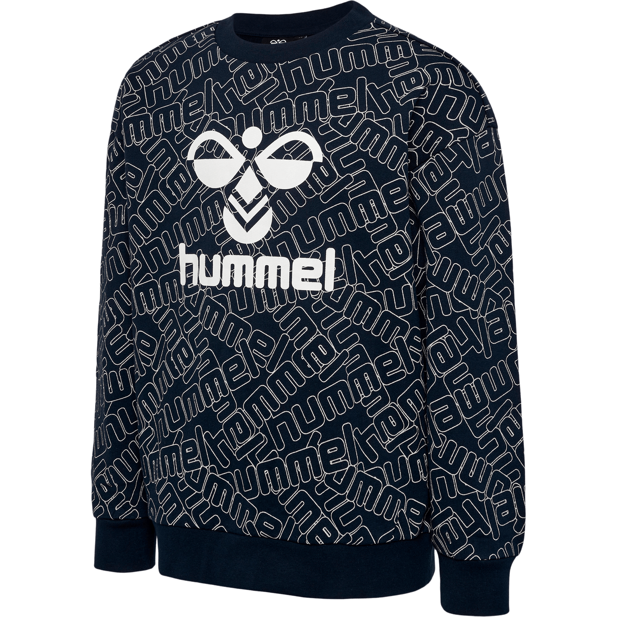 hummel Youth Carson Sweatshirt-1