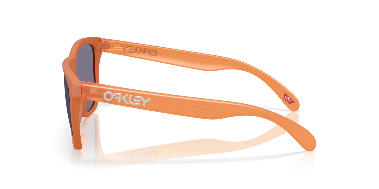 Oakley Frogskins A Glasses-3