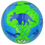Vizari Dino Soccer Ball