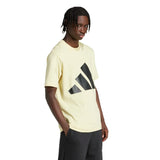 308009133.webp