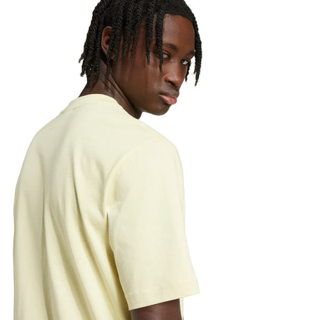 308009136.webp