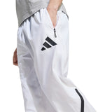 308009374.webp