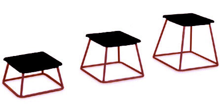 Trigon Sports Exercise & Wellness Plyometric Box