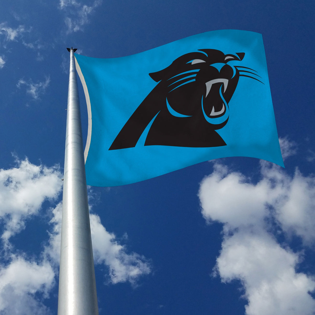 Rico Industries NFL  Carolina Panthers Standard 3' x 5' Banner Flag-2