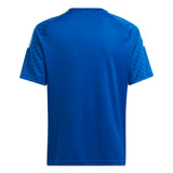 310227603.webp