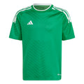 310227648.webp