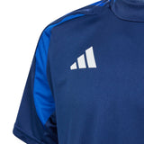 311165143.webp