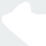 311630978.webp