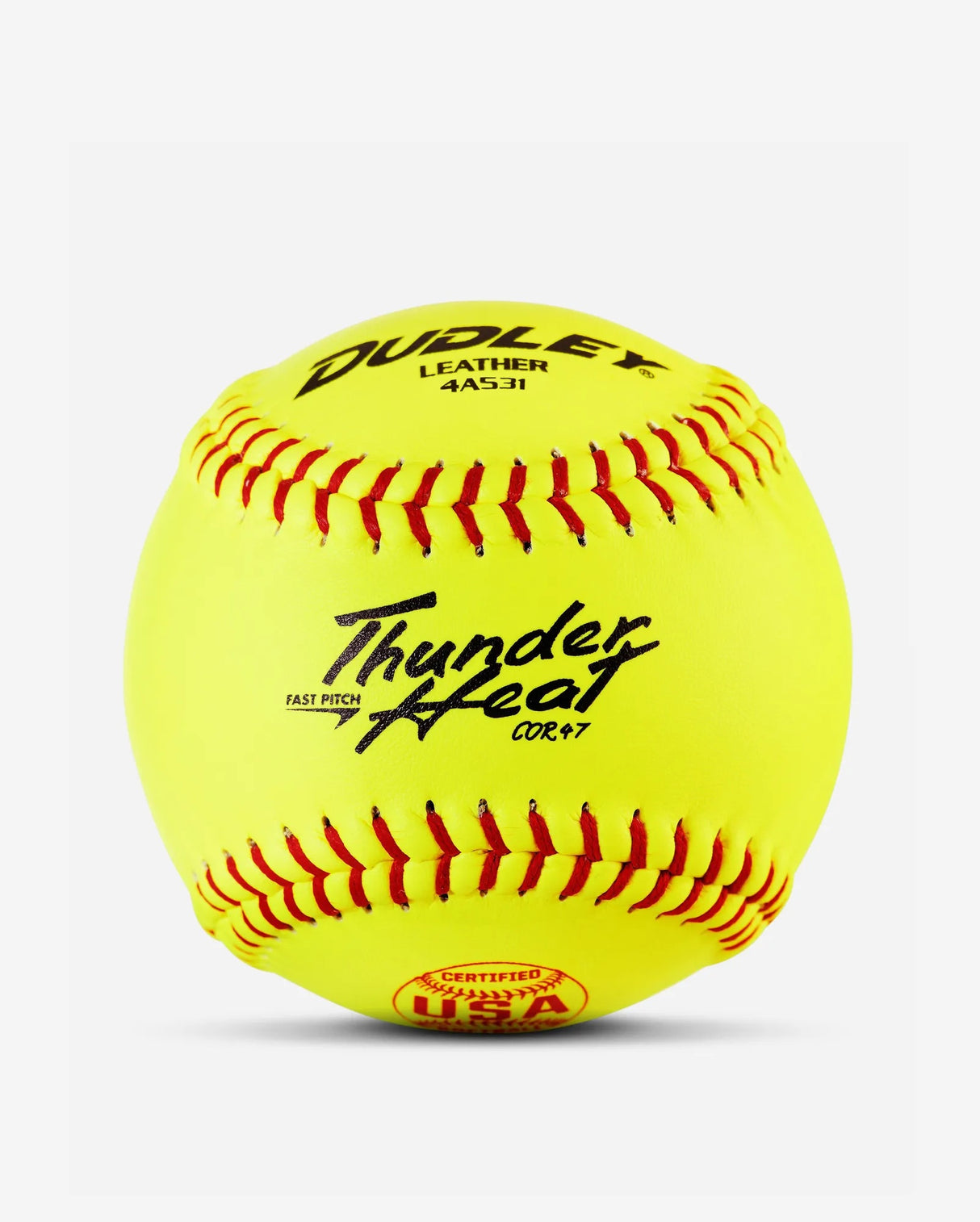 Dudley One Dozen USASB Fastpitch Softballs