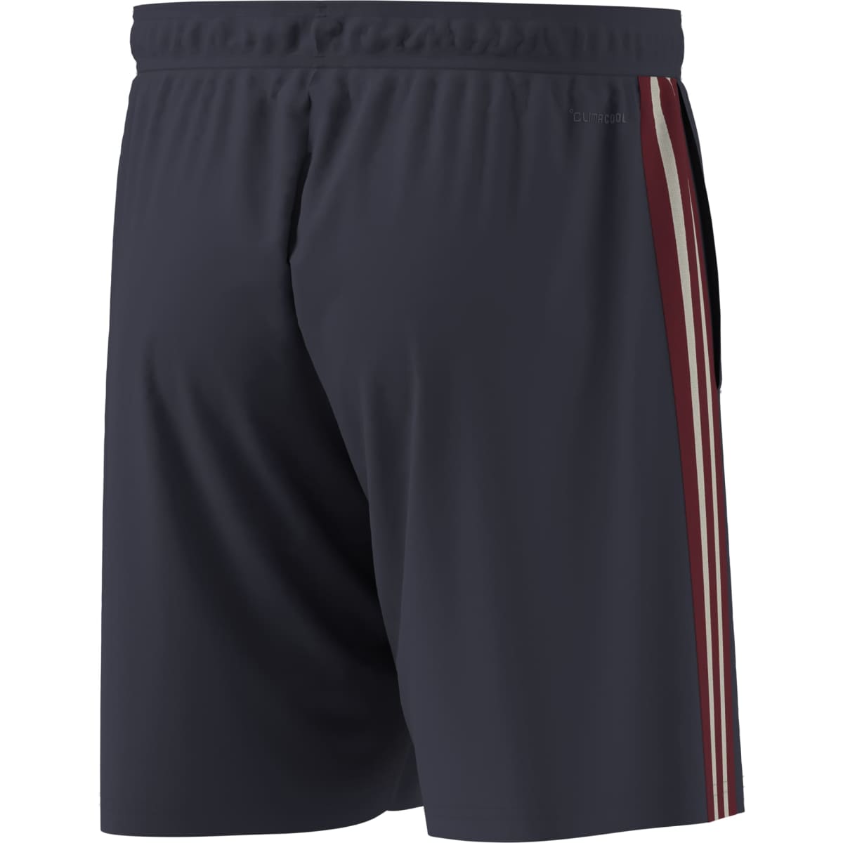 adidas Men's France Rugby Gym Shorts-8