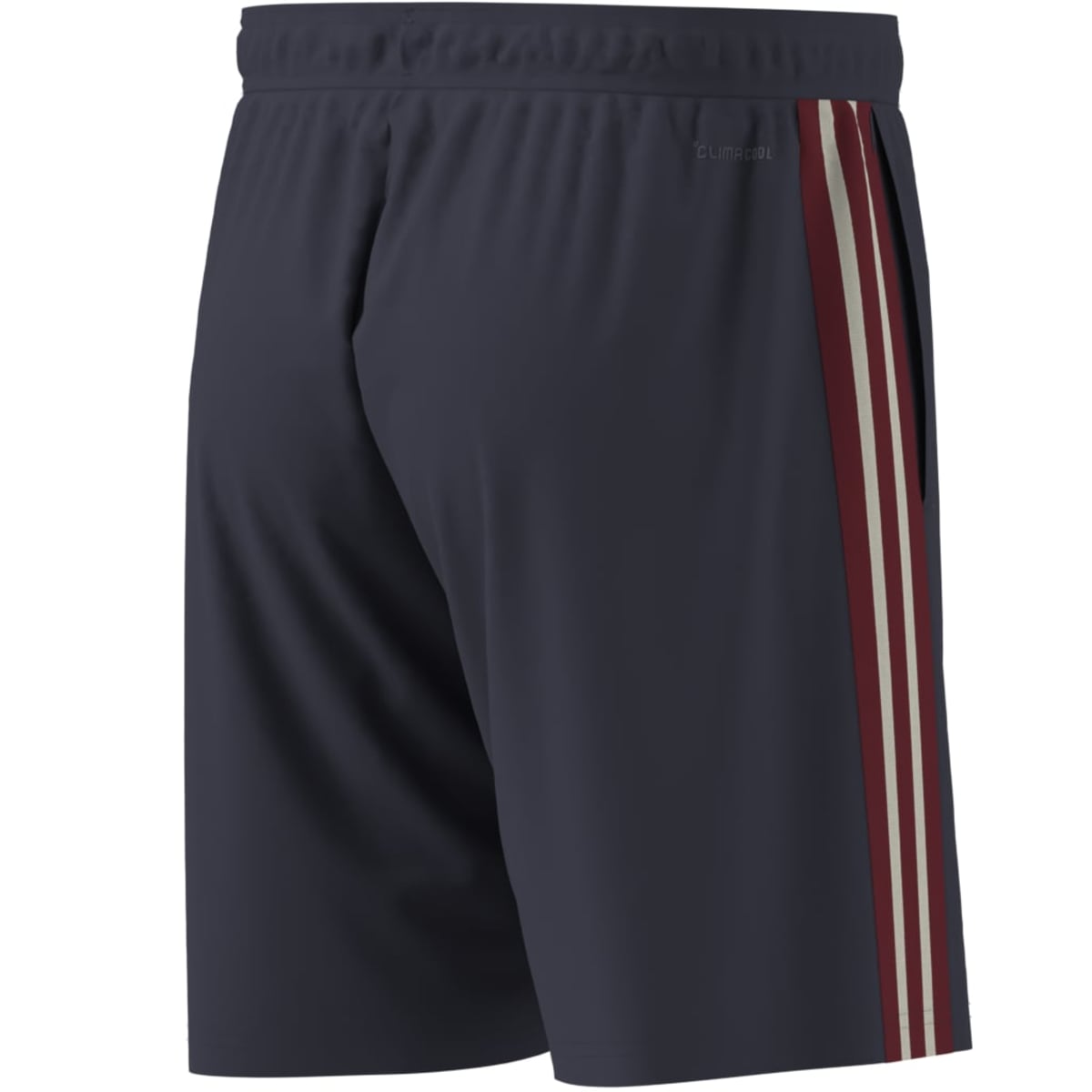 adidas Men's France Rugby Gym Shorts-12