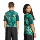 adidas Youth Mexico 26 Home Pre Match Jersey-8