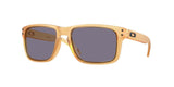 Oakley Holbrook Glasses-1