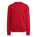 adidas Youth Fleece Crew Sweatshirt-1