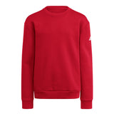 adidas Youth Fleece Crew Sweatshirt-1