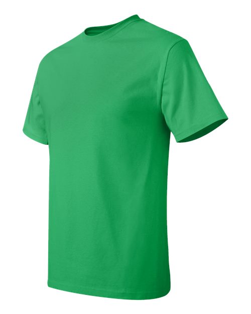 Hanes Men's Big Authentic T-Shirt