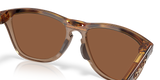 Oakley Frogskins Range XL Glasses-7