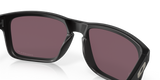 Oakley Holbrook Glasses-11