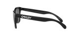Oakley Frogskins Glasses-8