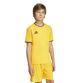 adidas Youth Entrada 26 Soccer Jersey-4