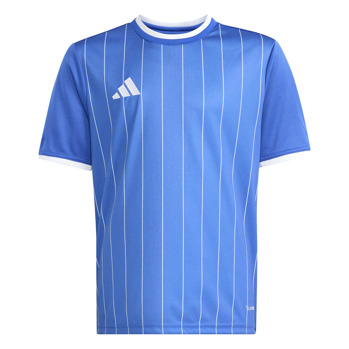 adidas Youth Entrada 26 Graphic Soccer Jersey-1