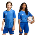 adidas Youth Entrada 26 Graphic Soccer Jersey-9