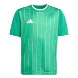 adidas Youth Entrada 26 Graphic Soccer Jersey-1