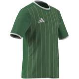 adidas Youth Entrada 26 Graphic Soccer Jersey-8