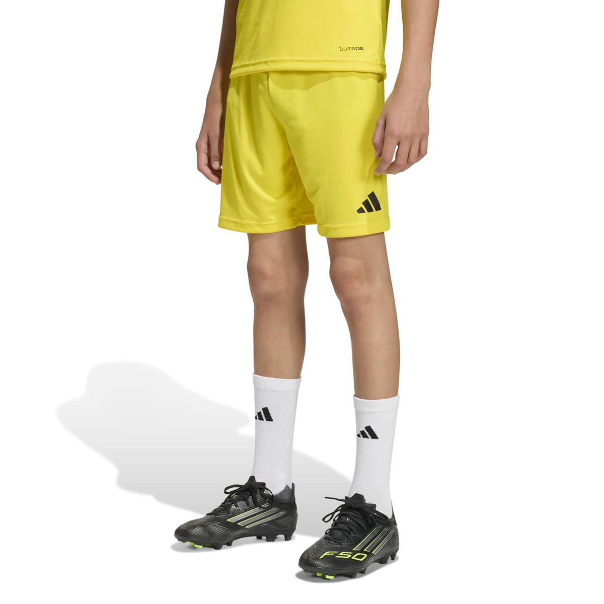 adidas Youth Entrada26 Soccer Shorts-3