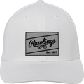 Rawlings Performance Hat-1
