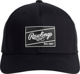Rawlings Performance Hat-1