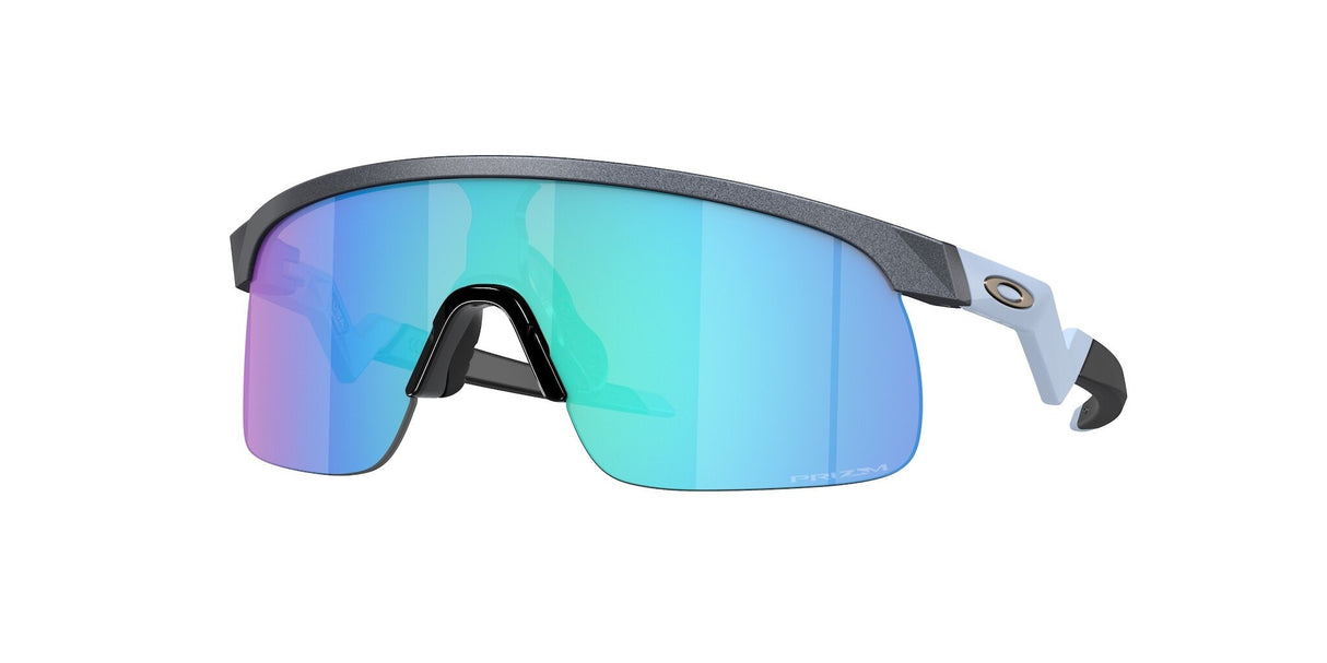 Oakley Resistor Sunglasses-1