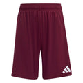 adidas Youth Entrada26 Soccer Shorts-1