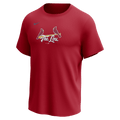 Nike St. Louis Cardinals Youth Institutional Short Sleeve Crew Neck Tee