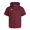 adidas Men's Dugout Short Sleeve Baseball Hoodie-1